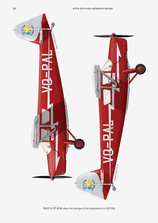 13 Forging The Wind- Polish Wings over Mandatory Palestine.jpg